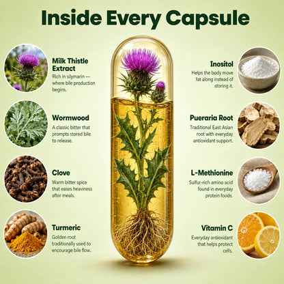 Gevilo® Milk Thistle Liver & Digestive Relief